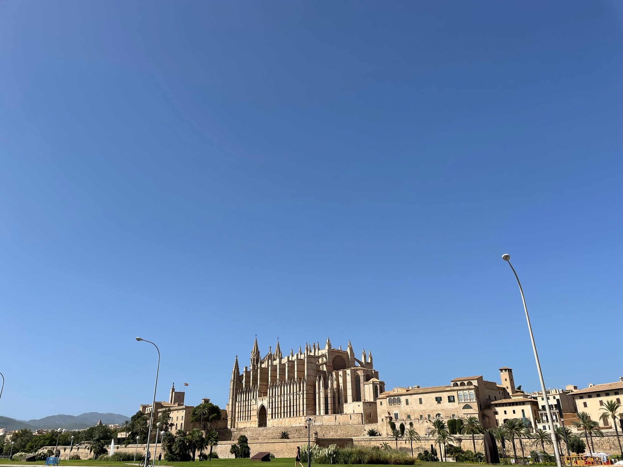 Kathedrale La Seu erhebt sich über der Stadtmauer von Palma de Mallorca unter wolkenlosem Himmel, umgeben von Palmen.