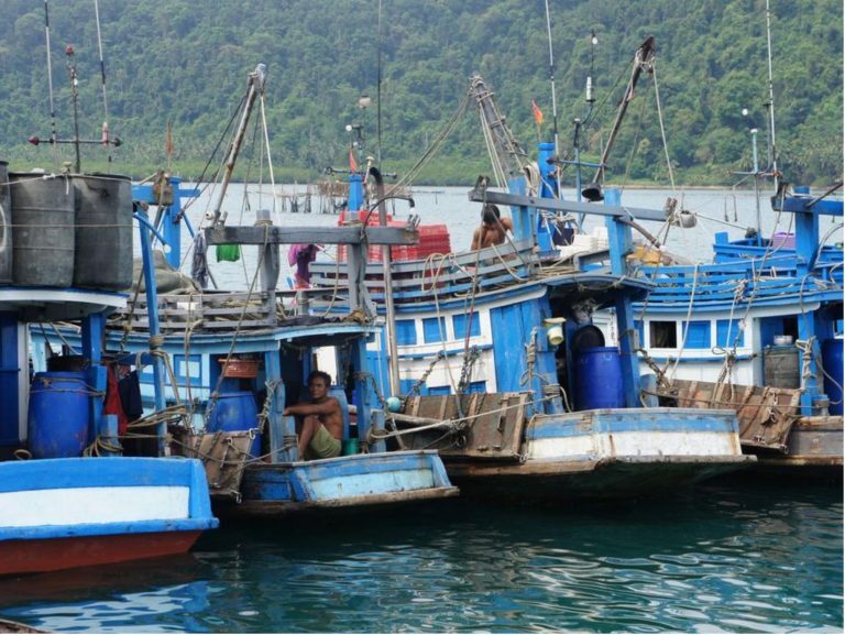 Blau bemalte Fischerboote liegen dicht aneinander vor bewaldeter Küste in der Phang-Nga-Bucht, Fischer sitzen an Bord.