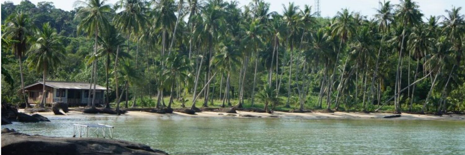 Palmenreihe säumt einen Sandstrand mit einer Holzhütte an der Küste der Phang-Nga-Bucht.