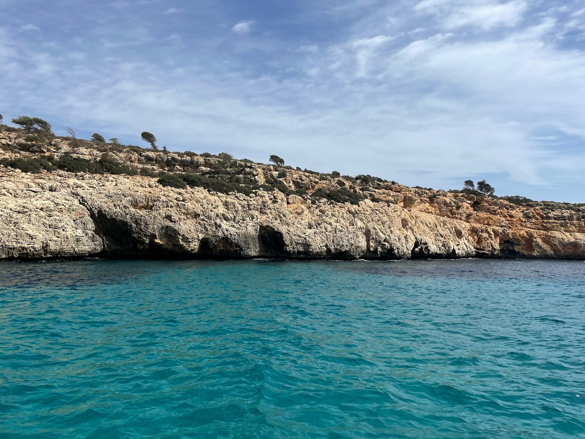 Türkisfarbenes Meer vor einer zerklüfteten Felsküste mit Höhlen und vereinzelten Bäumen auf Mallorca.