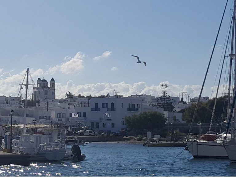 Eine Möwe fliegt über den Hafen eines kykladischen Dorfes mit weißen Häusern, einer Kirche und festgemachten Segelbooten.