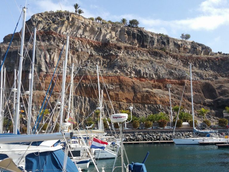 Segelboote liegen im Hafen von Gran Canaria vor einer schroffen Felsküste mit Palmen auf der Kuppe.