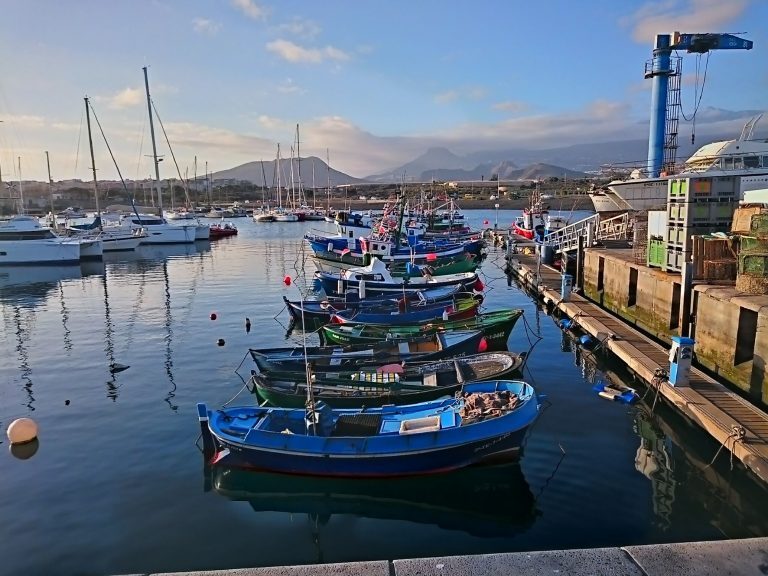 Fischerboote und Segelyachten liegen im Hafen von Teneriffa, im Hintergrund Berge unter bewölktem Himmel.